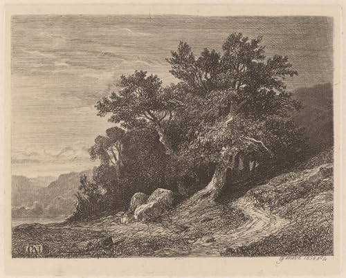 WYKUJMYTO Bekannt Wandkunst Auf Leinwand Moderne Kunst Wandbild Alte Bäume auf einem Hügel von Alexandre Calame Leinwanddruck Malerei für Wanddekoration 60x90cm WYKUJMYTO Bekannt Wandkunst Auf Leinwand Moderne Kunst Wandbild Alte Bäume auf einem Hügel von Alexandre Calame Leinwanddruck Malerei für Wanddekoration 60x90cm von WYKUJMYTO
