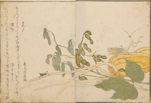 WYKUJMYTO Berühmte Gemälde Moderne Kunstdrucke Bild Druck Auf Leinwand Heuschrecke und Gottesanbeterin von Kitagawa Utamaro Poster Kunstwerke für Wohnzimmer Dekoration 60x90cm von WYKUJMYTO