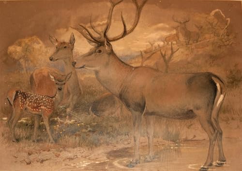 WYKUJMYTO Berühmte Gemälde Moderne Kunstdrucke Bild Druck Auf Leinwand Persischer Hirsch von Wolf Poster Kunstwerke für Wohnzimmer Dekoration 60x90cm von WYKUJMYTO
