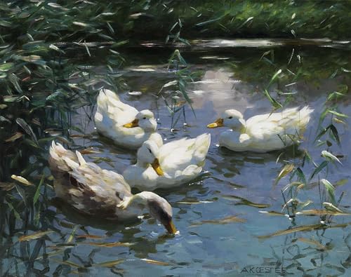 WYKUJMYTO Berühmte Gemälde Moderne Kunstdrucke Bild Druck Auf Leinwand Vier Enten im Teich von Alexander Koester Poster Kunstwerke für Wohnzimmer Dekoration 60x90cm WYKUJMYTO Berühmte Gemälde Moderne Kunstdrucke Bild Druck Auf Leinwand Vier Enten im Teich von Alexander Koester Poster Kunstwerke für Wohnzimmer Dekoration 60x90cm von WYKUJMYTO