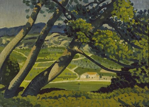 WYKUJMYTO Kunst Gemälde Poster Kunstwerke Berühmte Leinwand Drucken Bäume der Provence von Derwent Laees Kunstdrucke Leinwand für Wohnzimmer Dekoration 60x90cm von WYKUJMYTO