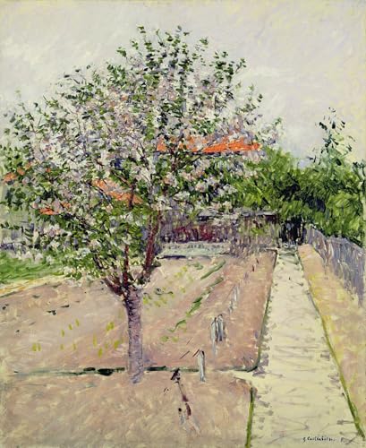 WYKUJMYTO Kunst Gemälde Poster Kunstwerke Berühmte Leinwand Drucken Blühender Baum von Gustave Caillebotte Kunstdrucke Leinwand für Wohnzimmer Dekoration 60x90cm von WYKUJMYTO