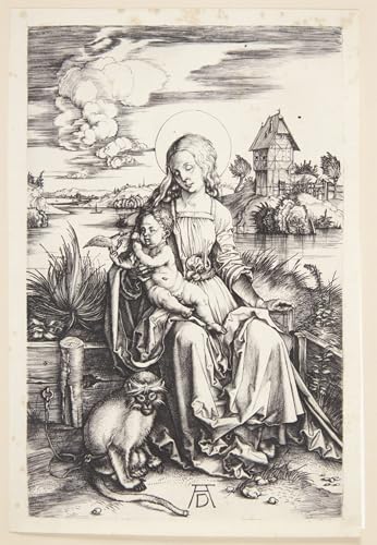 WYKUJMYTO Kunst Gemälde Poster Kunstwerke Berühmte Leinwand Drucken Dame Mit Dem Affen Von Albrecht Dürer Kunstdrucke Leinwand für Wohnzimmer Dekoration 60x90cm von WYKUJMYTO