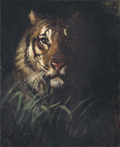 WYKUJMYTO Kunst Gemälde Poster Kunstwerke Berühmte Leinwand Drucken Tigerkopf von abbott handerson thayer Kunstdrucke Leinwand für Wohnzimmer Dekoration 60x90cm von WYKUJMYTO