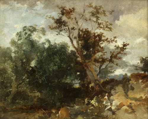WYKUJMYTO Vintage Leinwandmalerei Landschaft Wandkunst Wandbilder Auf Leinwand Studie der Bäume von William Muller Wandkunst Bild Druck für Wanddekoration 60x90cm WYKUJMYTO Vintage Leinwandmalerei Landschaft Wandkunst Wandbilder Auf Leinwand Studie der Bäume von William Muller Wandkunst Bild Druck für Wanddekoration 60x90cm von WYKUJMYTO