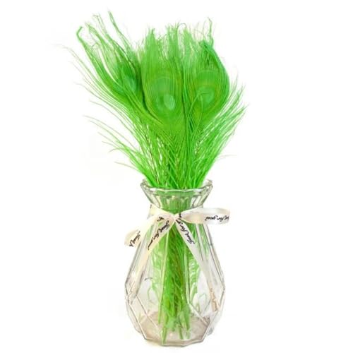WYLZBA 10/20 Stück gefärbte Pfauenfedern 25–30 cm für DIY Handwerk Vasen Hüte Kostüm Zuhause Party Hochzeit Karneval Urlaub Blumendekoration-Grün-10 Stück von WYLZBA