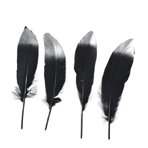 WYQXTY Natürliche Federn Bastelfedern Dekorationen, Gänsefedern, 10 Stück, for Basteln, DIY, Hochzeitsdekor, Mehrfarbig(Black Silver) von WYQXTY