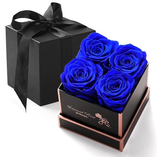 WYRIAZA Rosenbox Infinity Rose Ewige - Konservierte Echt Unendliche Haltbare Blumenbox Blaue Geschenke Frauen Mama Mutter Frau Freundin Ehefrau Geburtstag Jahrestag Weihnachten Valentinstag Muttertag von WYRIAZA