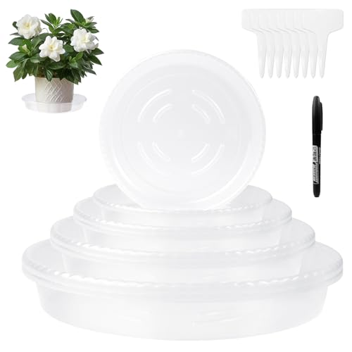 Transparente Pflanzenunterlagen mit 8 Etikett, Stabile Klare Pflanzentropfunterlagen, Runde Klare Blumentopfunterlagen, Gartenunterlagen mit 8 Etiketten Vertiefte Blumentopfplatten für Garten Freiland von WYTNB
