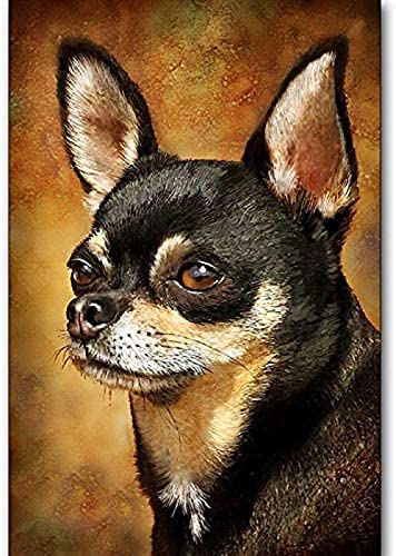 WYWQN DIY Diamantstickerei 5D Full Square Diamond Painting Chihuahua Kreuzstich Tierbilder von Strass Mosaik Dekor 30x40CM von WYWQN