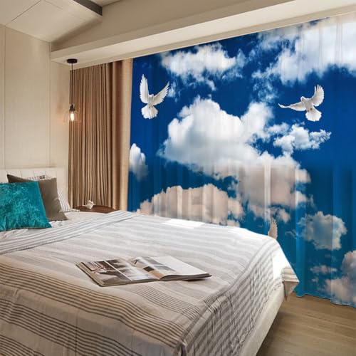 WYXWZ 2er Set Sheer Voile Vorhang mit Ösen Transparente Gardine aus Voile Polyester Ösenschal Transparent Wohnzimmer Luftig Dekoschal für Schlafzimmer 2 Stück x 132 Breite x 215cm Höhe Blauer Himmel von WYXWZ