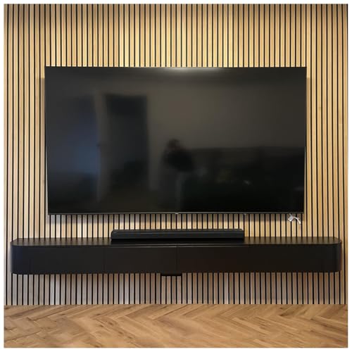 WYZSIINK Moderner Schwebender TV-Schrank Mit Stauraum – Schwebender TV-Schrank Für Wohnungen – Schlanke, An Der Wand Montierte TV-Einheit Mit Tür Für Wohnzimmer Und Schlafzimmer(Schwarz,220cm) von WYZSIINK