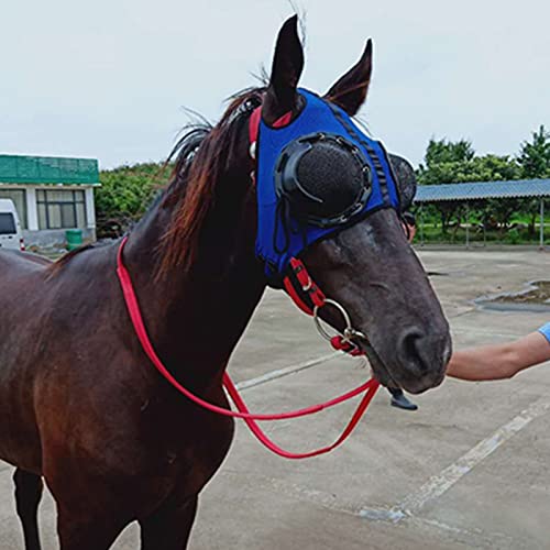 WZCXYX Gurtversorgung Kabelbaumdeckel Winddichte Schutzbrillen Geschwindigkeitsrassebrillen Mit Mesh-Brillen Anti-trachom-Cover-Horse-Kopfbedeckung(Color:Blau) von WZCXYX