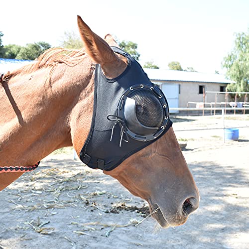 WZCXYX Gurtversorgung Kabelbaumdeckel Winddichte Schutzbrillen Geschwindigkeitsrassebrillen Mit Mesh-Brillen Anti-trachom-Cover-Horse-Kopfbedeckung(Color:schwarz) von WZCXYX