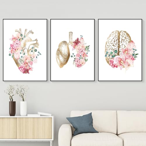 WZXGHE Anatomie Medizin Poster,anatomie Herz Poster Mit Blumen,bilder Herz Lunge Gehirn Arztpraxis Dekoration,Für Krankenhaus Klinik Deko Rahmenlos (C, 3x50x70cm, Ungerahmt) von WZXGHE