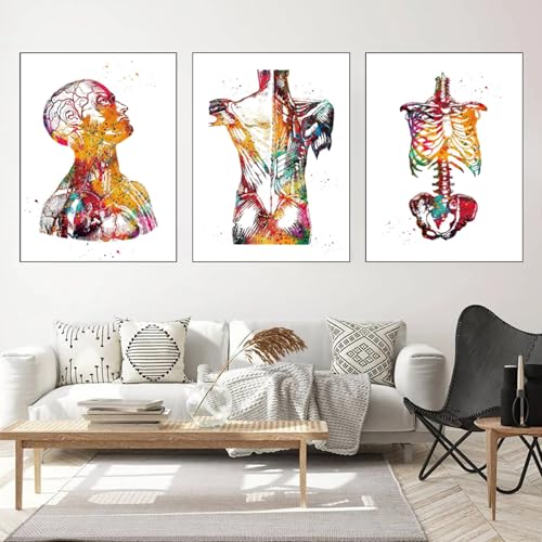 WZXGHE Medizin Anatomie Poster,anatomie Bilder Mit Blumen, Aesthetic Aquarell Anatomie Des Menschen Plakat Anatomie Poster Organefür Krankenhaus Klinik Deko Rahmenlos (A,3x40x60cm) von WZXGHE