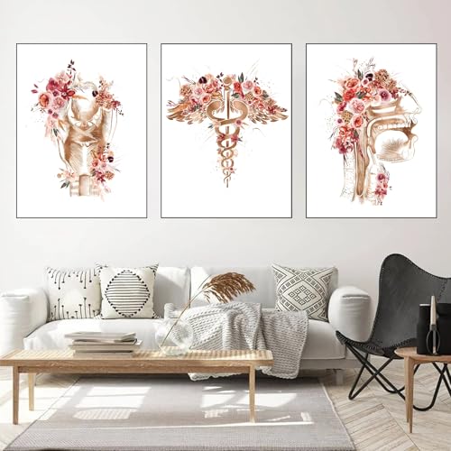 WZXGHE Medizin Anatomie Poster,anatomie Bilder Mit Blumen, Aesthetic Aquarell Anatomie Poster Für Krankenhaus Klinik Deko Rahmenlos (B,3x40x60cm) von WZXGHE