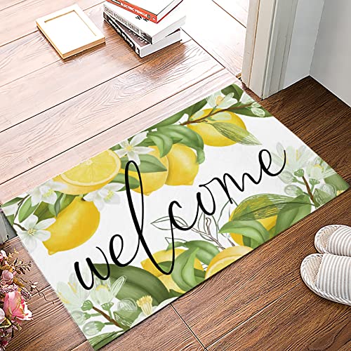 Fußmatte Zitronen-Sommer-Fruchtblätter-Fußmatten Für Wohnzimmer, Teppiche, Küche, Badezimmer, Eingangs-Fußmatte Eingangs-Fußmatte Waschbare Fußmatte von WZXKR