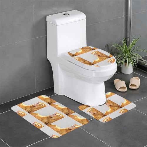 Bedrucktes Teppich-Set mit liegendem Löwen – rutschfeste Schutzmatte für Zuhause, Badezimmer, schnell trocknend und leicht zu reinigen von WZYCWB