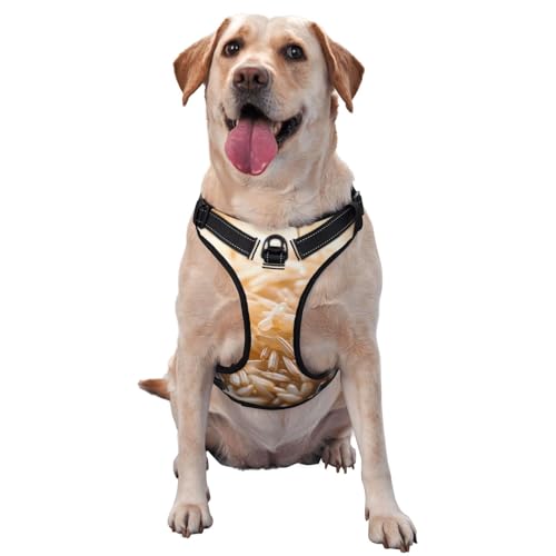 Surname Mi Haustier-Traktionsweste, bedruckt, klein, ideal für Spaziergänge mit dem Hund, Wandern, tägliche Reisen von WZYCWB