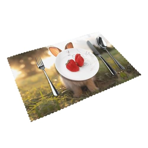 Tischsets mit weißen Ohren, leicht zu reinigen, 30,5 x 45,7 cm, geeignet für Esszimmer, Terrassentisch, Küche, 4 Stück von WZYCWB