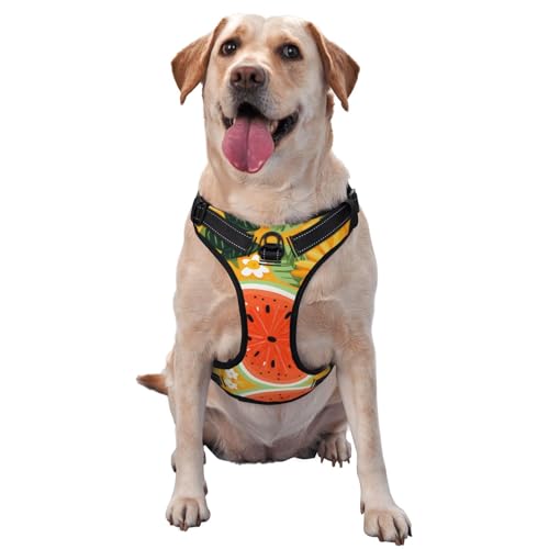 Traktionsweste mit Obst-Hintergrund-Illustration, Größe XL, ideal für Spaziergänge mit dem Hund, Wandern, tägliche Reisen von WZYCWB