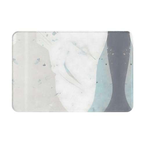 WZYCWB Blau-weiße Fußmatte mit Kunstdruck, 40,6 x 61 cm, für Haustür, Hintertür, Terrasse, Bad usw. WZYCWB Blau-weiße Fußmatte mit Kunstdruck, 40,6 x 61 cm, für Haustür, Hintertür, Terrasse, Bad usw. von WZYCWB