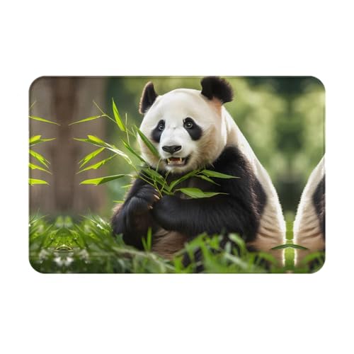 WZYCWB Bodenabsorbierende Fußmatte, Größe 40,6 x 61 cm, schützt effektiv das Wohnzimmer, das Badezimmer und die Haustür vor der Reinigung, niedliches Panda-Muster WZYCWB Bodenabsorbierende Fußmatte, Größe 40,6 x 61 cm, schützt effektiv das Wohnzimmer, das Badezimmer und die Haustür vor der Reinigung, niedliches Panda-Muster von WZYCWB