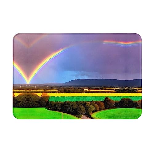 WZYCWB Bodenabsorbierende Fußmatte, Größe 40,6 x 61 cm, schützt effektiv das Wohnzimmer, das Badezimmer und die Haustür vor der Reinigung des Abend-Regenbogenmusters von WZYCWB