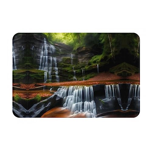 WZYCWB Bodenabsorbierende Fußmatte, Größe 40,6 x 61 cm, schützt effektiv das Wohnzimmer, das Badezimmer und die Haustür vor der Reinigung des Wasserfalls von WZYCWB