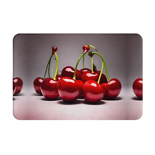 WZYCWB Bodenabsorbierende Fußmatte, Größe 40,6 x 61 cm, schützt effektiv das Wohnzimmer, das Badezimmer und die Haustür vor der Reinigung des chilenischen Kirschmusters WZYCWB Bodenabsorbierende Fußmatte, Größe 40,6 x 61 cm, schützt effektiv das Wohnzimmer, das Badezimmer und die Haustür vor der Reinigung des chilenischen Kirschmusters von WZYCWB