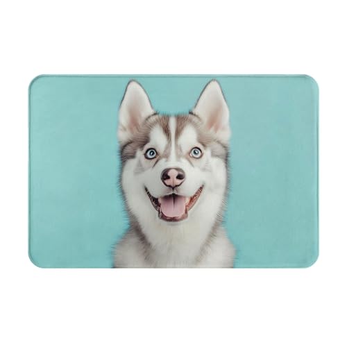 WZYCWB Bodenabsorbierende Fußmatte, Größe 40,6 x 61 cm, schützt effektiv das Wohnzimmer, das Badezimmer und die Haustür vor der Reinigung des niedlichen Husky-Musters WZYCWB Bodenabsorbierende Fußmatte, Größe 40,6 x 61 cm, schützt effektiv das Wohnzimmer, das Badezimmer und die Haustür vor der Reinigung des niedlichen Husky-Musters von WZYCWB