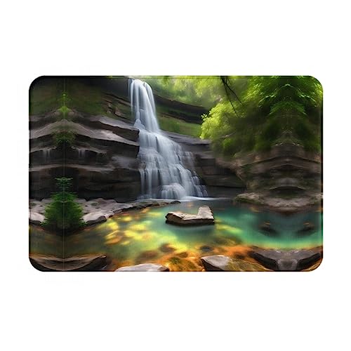 WZYCWB Bodenabsorbierende Fußmatte, Größe 40,6 x 61 cm, schützt effektiv das Wohnzimmer, das Badezimmer und die Haustür vor der Reinigung von Wasserfallansichten von WZYCWB