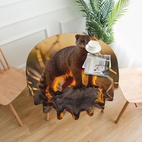 WZYCWB Dekorative lange Tischdecke mit Erdmännchen-Motiv (152,4 cm Durchmesser), runde Hochzeitstischdecke, allgemeine Zweck-Tischdecke für Partys von WZYCWB