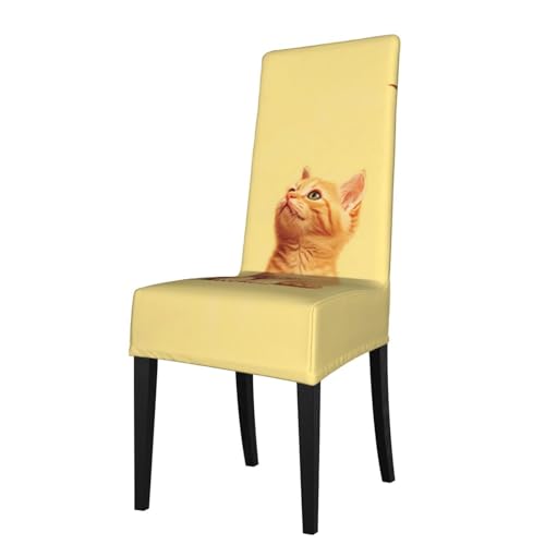 WZYCWB Esszimmerstuhlbezug, Motiv: Butterkatze, dehnbar, abnehmbare Schutzhülle, geeignet für Esszimmerstühle mit quadratischer Rückenlehne, Preacherstuhl von WZYCWB