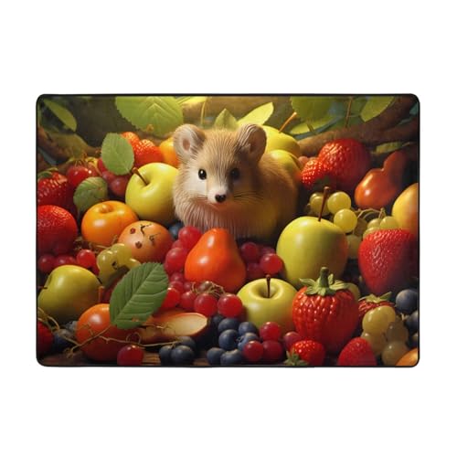 WZYCWB Flanell-Bodenmatte mit Hamster- und Obstmuster, 203 x 147 cm, superweich von WZYCWB