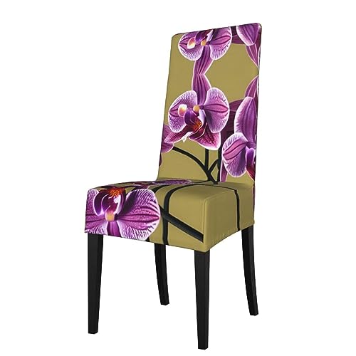 WZYCWB Schöne Orchideen gemusterte Stretch Esszimmerstuhlhusse, abnehmbare Schutzhülle, geeignet für Esszimmerstühle mit quadratischer Rückenlehne, Preacherstuhl WZYCWB Schöne Orchideen gemusterte Stretch Esszimmerstuhlhusse, abnehmbare Schutzhülle, geeignet für Esszimmerstühle mit quadratischer Rückenlehne, Preacherstuhl von WZYCWB