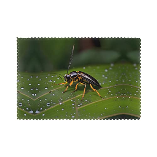 WZYCWB Tischset mit Wärmedämmung, 30,5 x 45,7 cm, für Hotel und Bankett, Tischplatte, Insekten auf Blättern, 6 Stück von WZYCWB