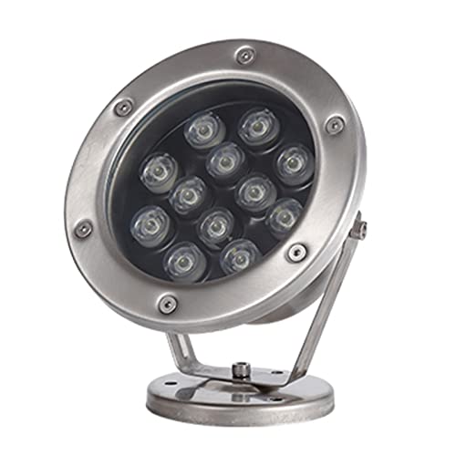 Strahler Unterwasser IP68 Wasserdicht Niederspannung Led Unterwasserlicht Material: Rostfreier Stahl Einstellbarer Winkel Schwimmbad Scheinwerfer für Unterwasser, Springbrunnen, Teich(Kaltes Weiß,12W( von WZYJLyds