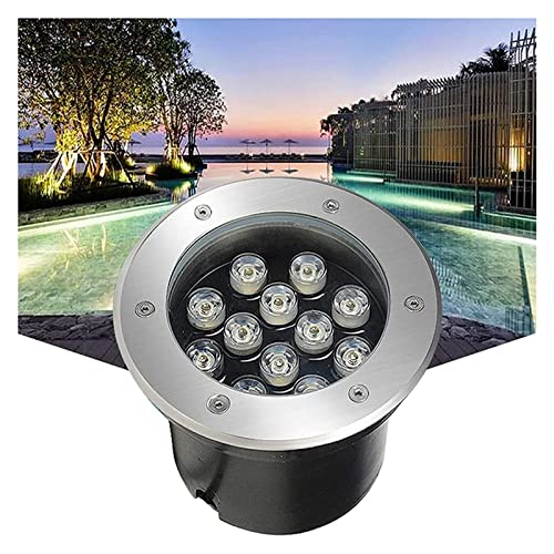WZYJLyds Einbau LED Unterwasserscheinwerfer IP68 Wasserdicht Runde Teichbeleuchtung 24V Niederspannung Edelstahl 304 für Wasserspiele, Brunnenbecken, Teiche, Plätze, Gärten(Violett,9W) von WZYJLyds