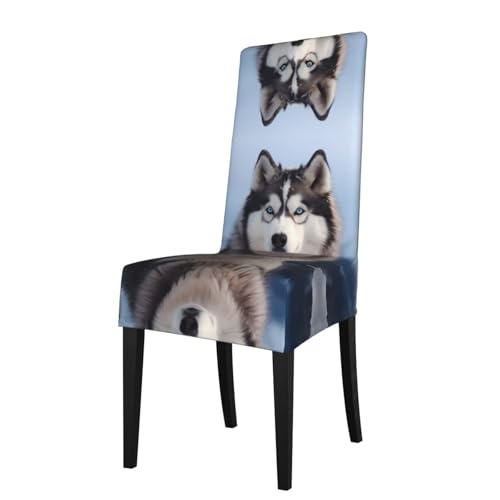 WZYWHJ Abnehmbarer Stuhlbezug mit Sibirischem Husky-Druck, schnelle Installation und einfache Wartung, geeignet für quadratische Stuhllehnen von WZYWHJ