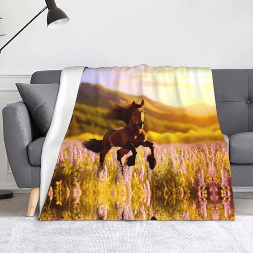 WZYWHJ Braune Pferdedecke aus Flanell – weiche und strapazierfähige Winterdecke für Zuhause und Reisen von WZYWHJ