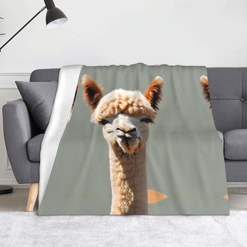 WZYWHJ Flanelldecken mit Alpaka-Avatar-Muster sind super weich, warm und leicht, geeignet für Sofas und Betten von WZYWHJ