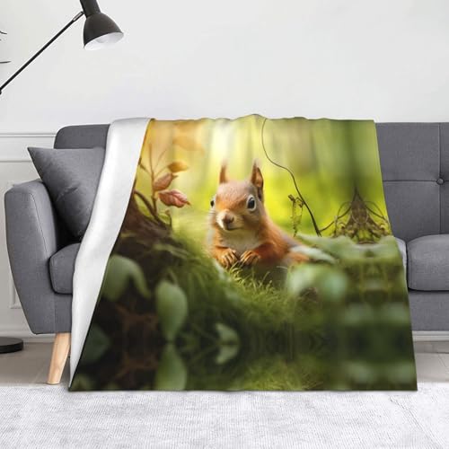 WZYWHJ Niedliche kleine Eichhörnchen-Flanelldecke – weiche und strapazierfähige Winterdecke für Zuhause und Reisen von WZYWHJ