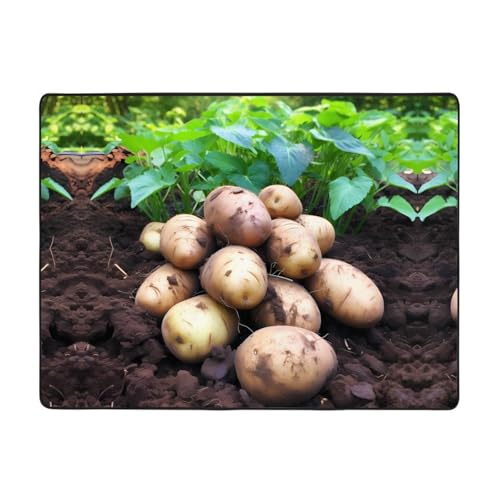 WZYWHJ Teppiche, Wohnzimmer-Fußmatten, Läufer, rutschfest, Kinderzimmermatte, Spielteppich, 160 x 121,9 cm, frisches Kartoffelmuster WZYWHJ Teppiche, Wohnzimmer-Fußmatten, Läufer, rutschfest, Kinderzimmermatte, Spielteppich, 160 x 121,9 cm, frisches Kartoffelmuster von WZYWHJ