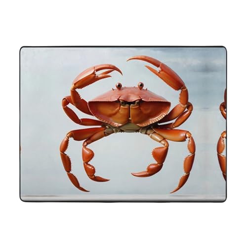 WZYWHJ Teppiche, Wohnzimmer-Fußmatten, Läufer, rutschfest, Kinderzimmermatte, Spielteppich, 160 x 121,9 cm, großes rotes Krabbenmuster WZYWHJ Teppiche, Wohnzimmer-Fußmatten, Läufer, rutschfest, Kinderzimmermatte, Spielteppich, 160 x 121,9 cm, großes rotes Krabbenmuster von WZYWHJ