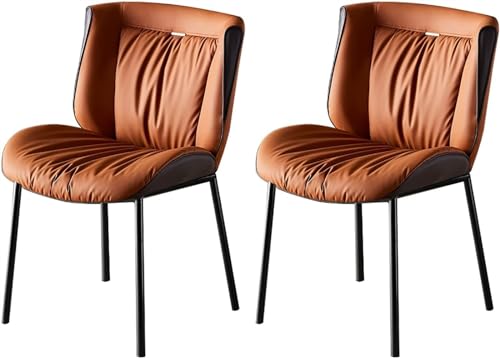 WZZQZR 2 x Esszimmerstuhl, bequemer gepolsterter Sessel, schwarzer Eisenrahmen, Schlafzimmer-Freizeitstuhl (Farbe: D) von WZZQZR