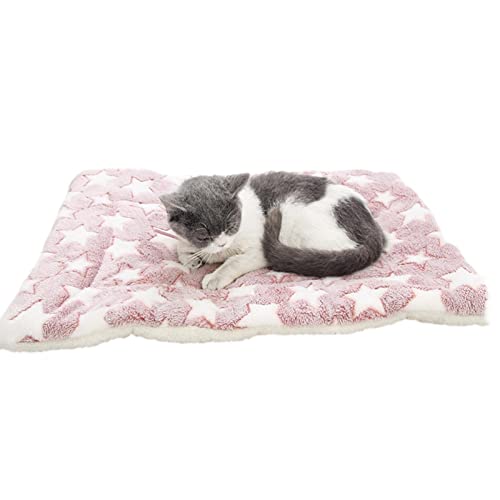 Gemütliche beruhigende Katzendecke, Katzendecken für Hauskatzen, Waschbare ultraweiche beruhigende Decke für Katzen und Hunde, Niedliche Pfotenabdruck-Decke Gemütliche beruhigende Katzendecke, Katzendecken für Hauskatzen, Waschbare ultraweiche beruhigende Decke für Katzen und Hunde, Niedliche Pfotenabdruck-Decke von KKPW