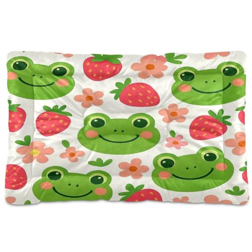 Waassud Grüner Frosch dicke Hundebett-Matte, rutschfest, kaufest, Haustierbett für Hunde und Katzen, weich, waschbar, Hundehütte, Kistenunterlage für Boden, Sofa, Auto, 45,7 x 61 cm von Waassud