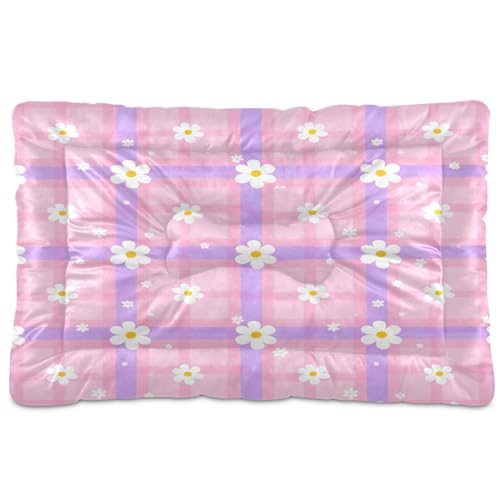 Waassud Kariertes kariertes Gänseblümchen-Hundebett, dick, rutschfest, kaufest, Haustierbett für Hunde, Katzen, weich, waschbar, Hundehüttenkissen für Boden, Sofa, Auto, 91,4 x 61 cm Waassud Kariertes kariertes Gänseblümchen-Hundebett, dick, rutschfest, kaufest, Haustierbett für Hunde, Katzen, weich, waschbar, Hundehüttenkissen für Boden, Sofa, Auto, 91,4 x 61 cm von Waassud